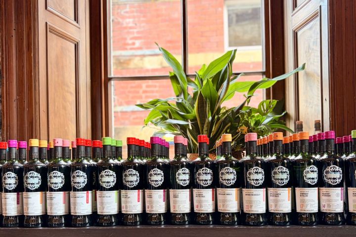 Assortment of wine bottles with colorful caps lined up on windowsill with plant in background.