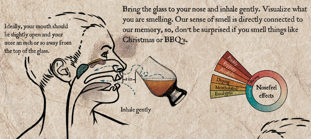 How to taste whisky at home: Nosing part 1