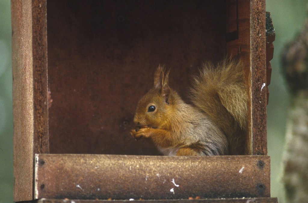 Malt_Whisky_Trial_Speyside