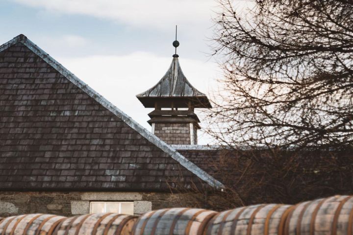 Roof with weather vane, barrels in foreground, tree on right.