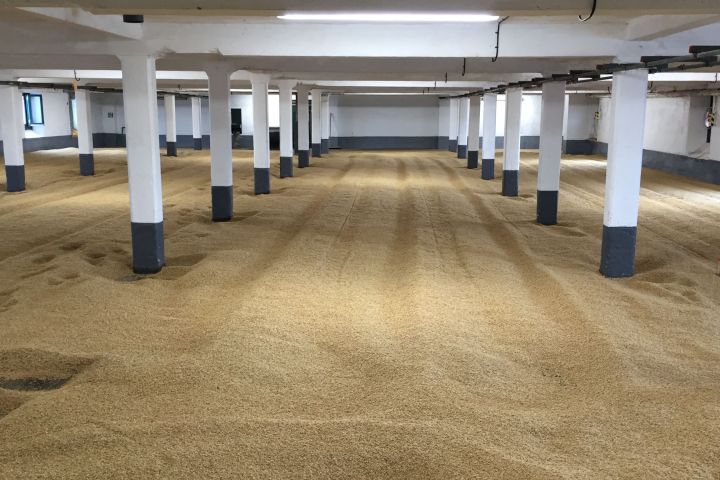 Large room with rows of white pillars and floor covered in grains.