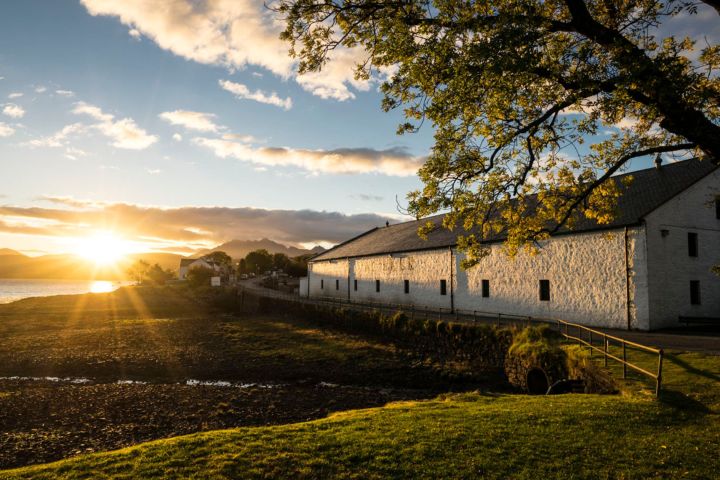 Sunset over a waterfront landscape with a large white building and tree in the foreground.