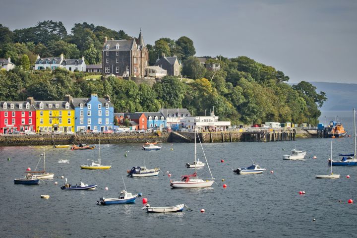 Harbor with colorful buildings, boats, and trees on a hill.
