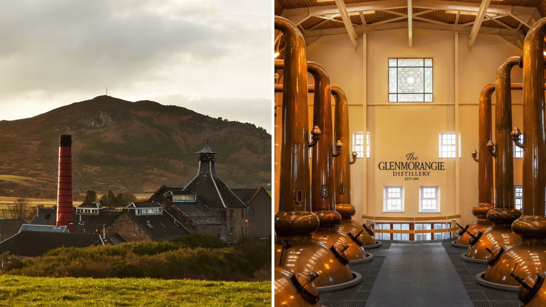 Mountain view behind a distillery with copper stills inside.