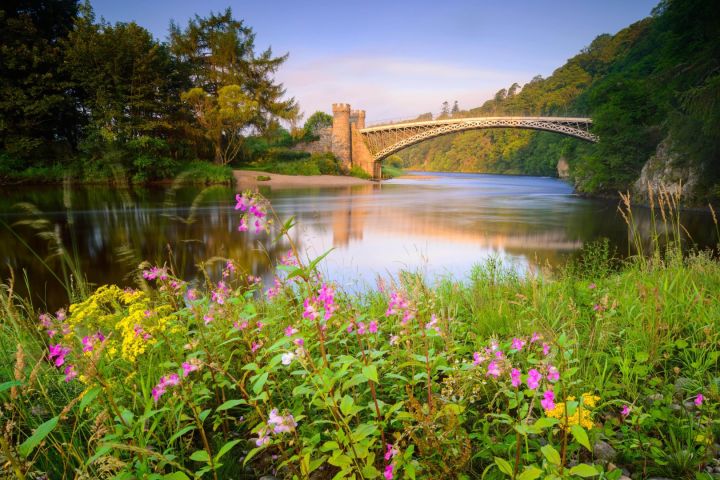 Scenic river view with a bridge and wildflowers in the foreground.