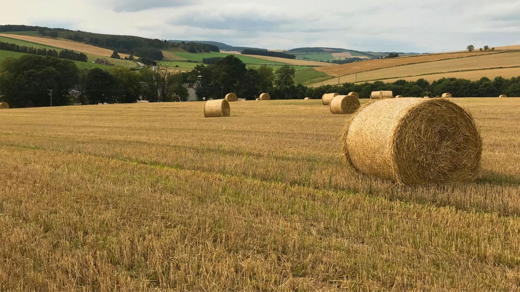 Field with hay bales and rolling hills in the background under a cloudy sky.