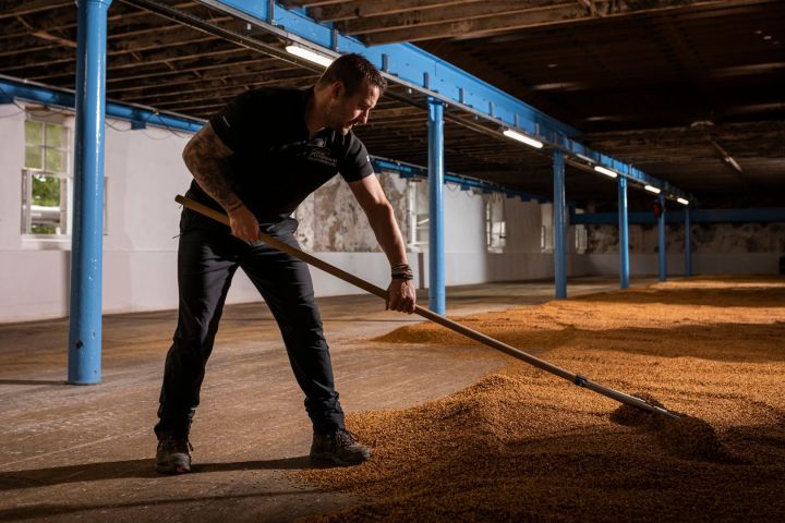 Man raking malted barley on a wooden floor in a dimly lit warehouse.