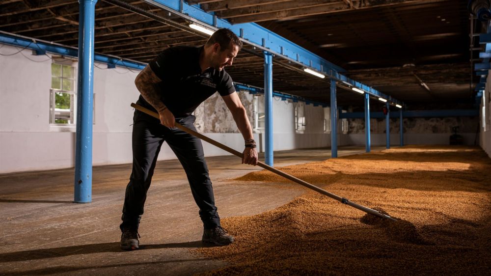 Man raking malted barley on a wooden floor in a dimly lit warehouse.